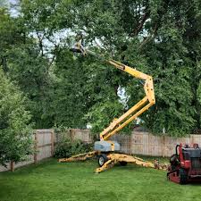 Best Tree Health Inspection  in Merced, CA